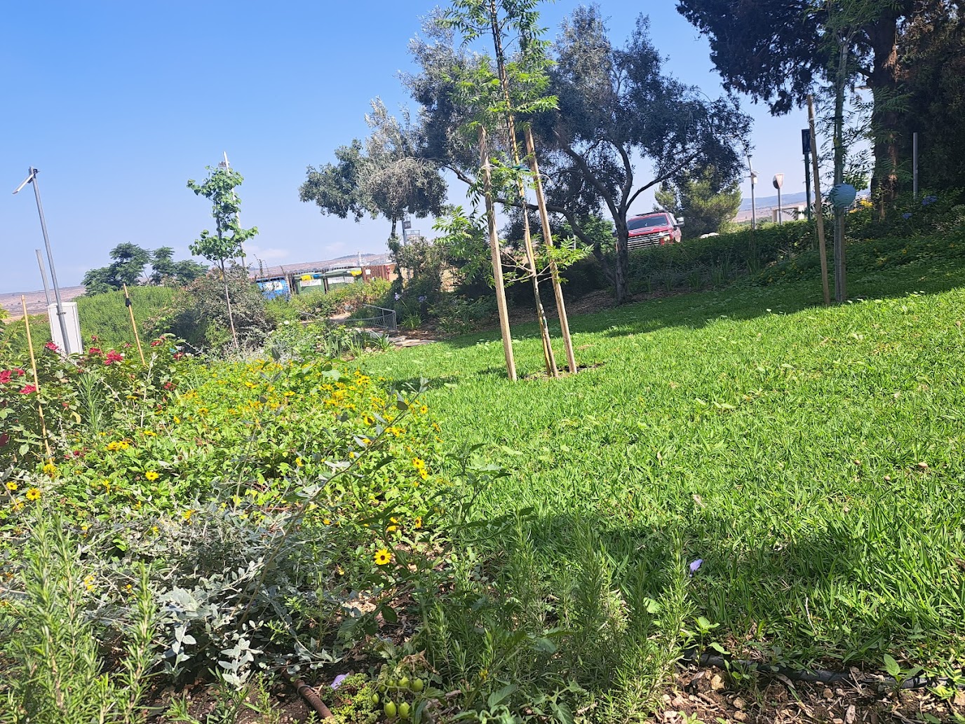 גינה II, רמות מנשה - תמונה 1