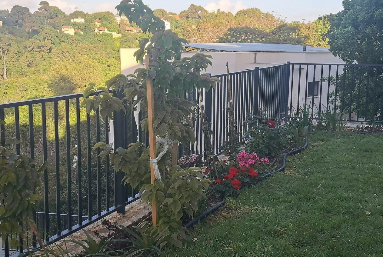 גינה צעירה בקרית טבעון - תמונה 4